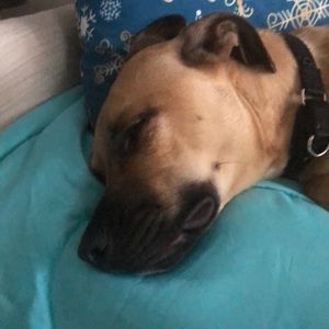 Meet your Posher, Paula